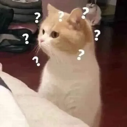 meme chấm hỏi