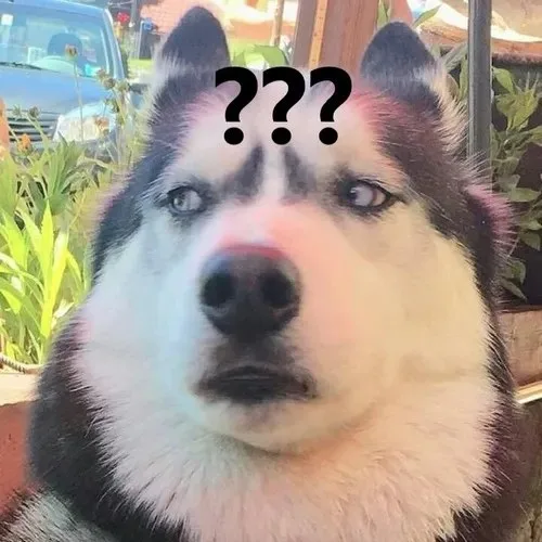 meme chấm hỏi