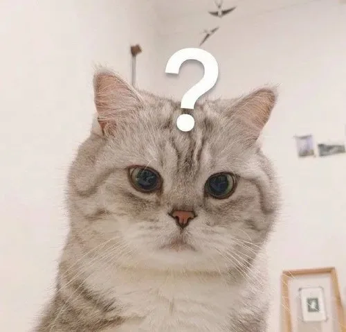 meme chấm hỏi