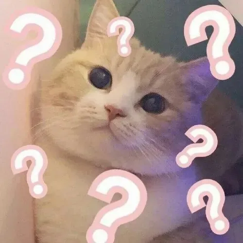 meme chấm hỏi