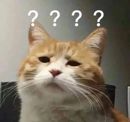 meme chấm hỏi