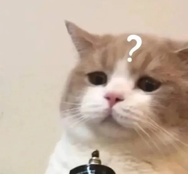 meme chấm hỏi