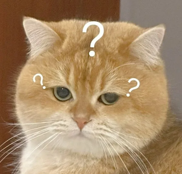 meme chấm hỏi