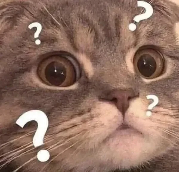 meme chấm hỏi