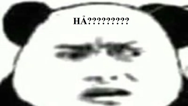 meme ???