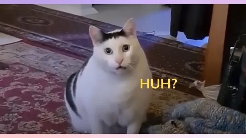 meme chấm hỏi