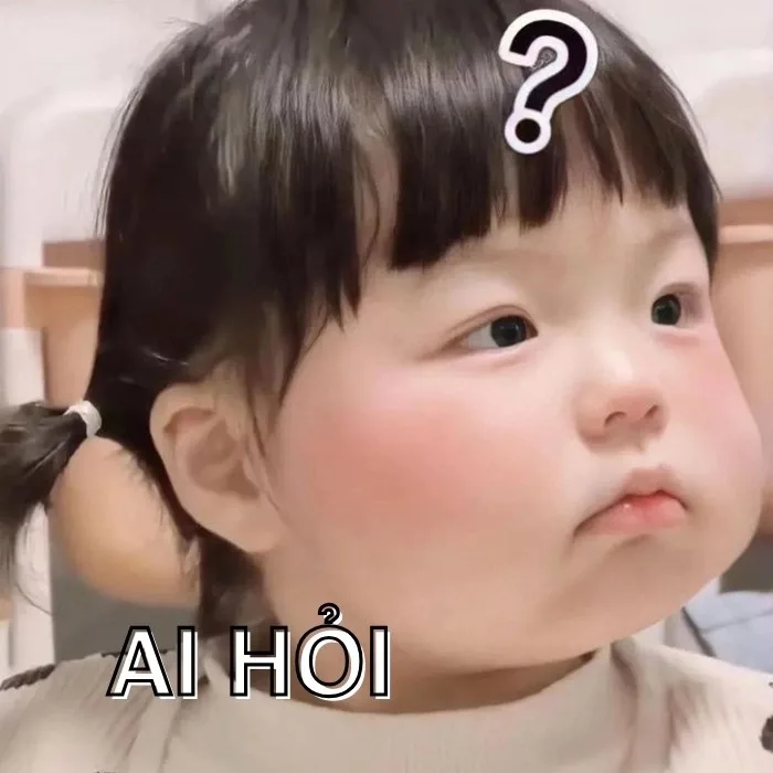 ai hỏi meme