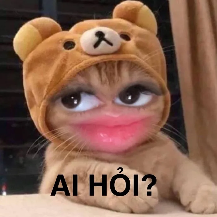 ai hỏi meme