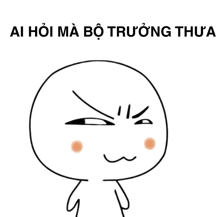 ai hỏi mà bộ trưởng trả lời meme