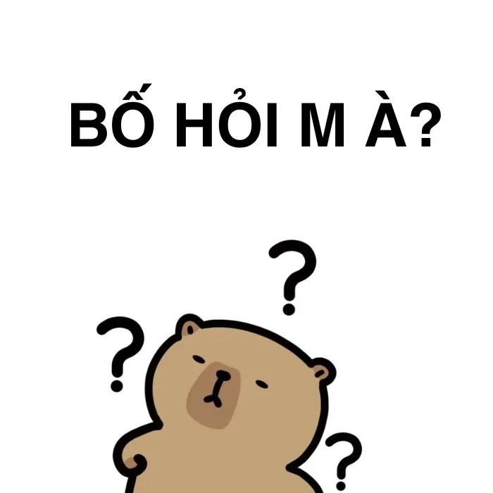 ai hỏi meme