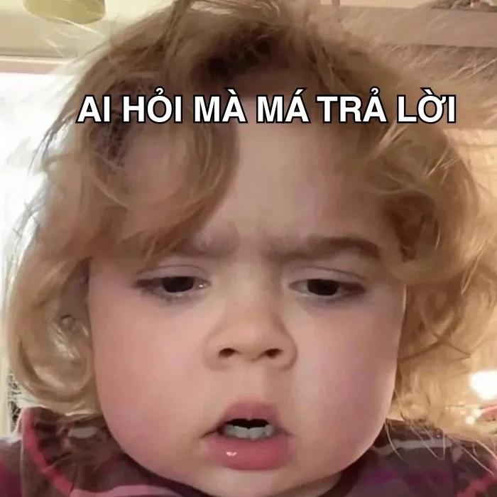ai hỏi meme