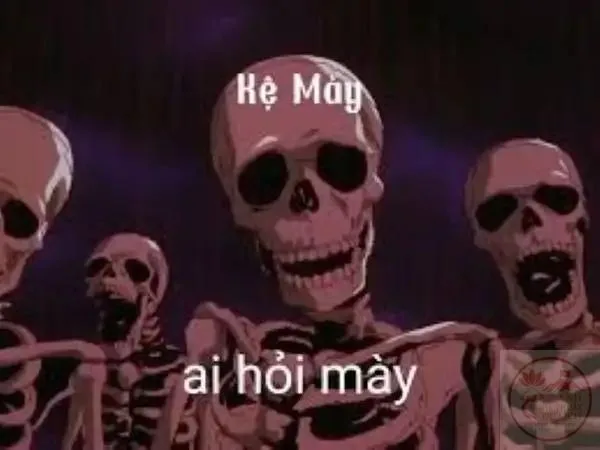 meme ai hỏi