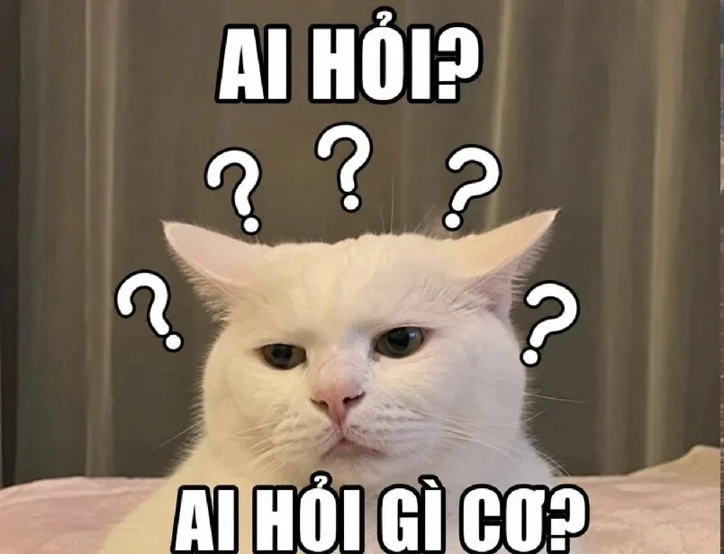 ai hỏi meme