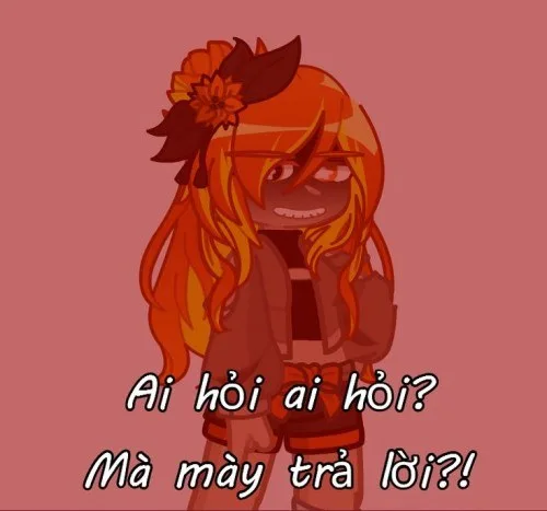 meme ai hỏi mà mày trả lời