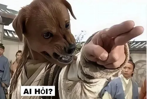 ai hỏi meme