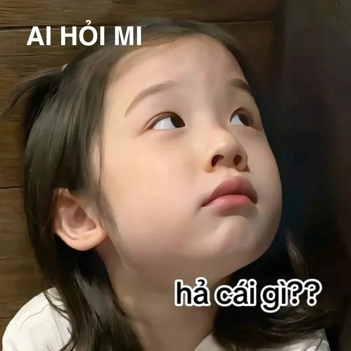 ai hỏi meme