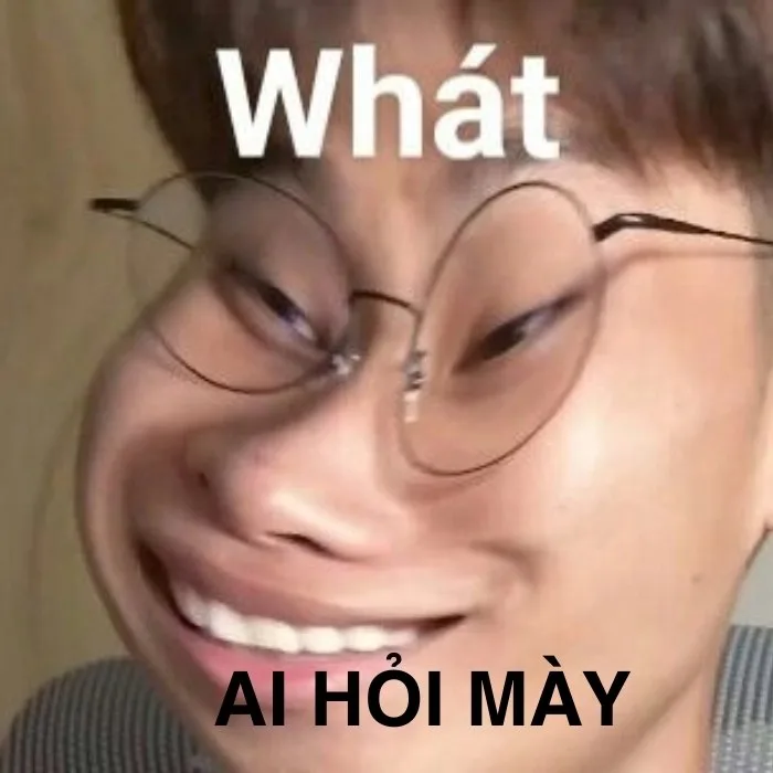 meme ai hỏi