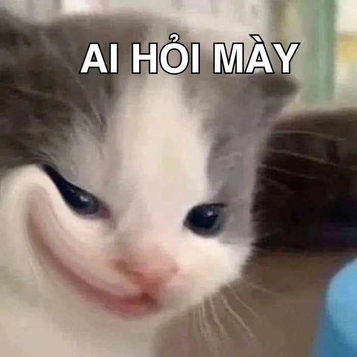 meme ai hỏi