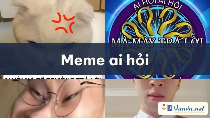 meme ai hỏi