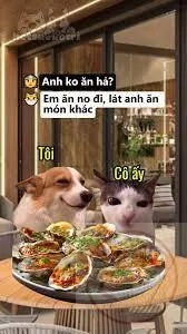 meme ăn