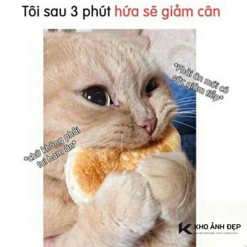 meme ăn
