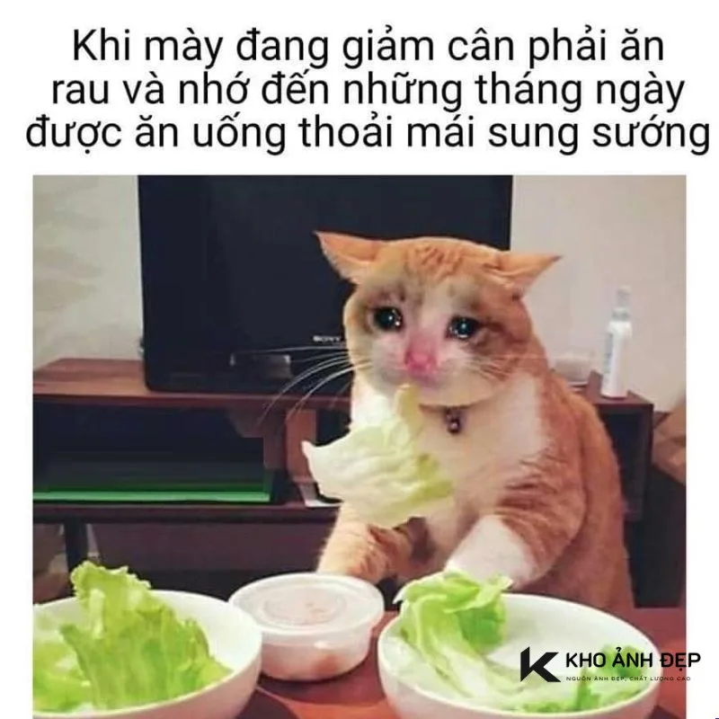 meme ăn