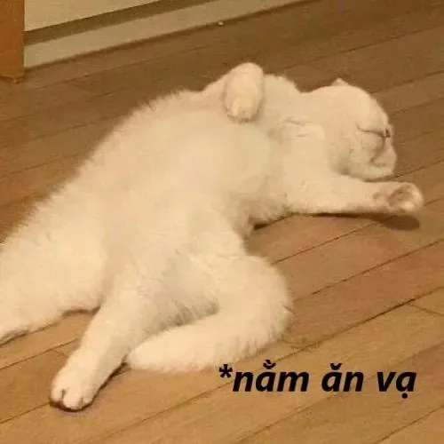 meme ăn