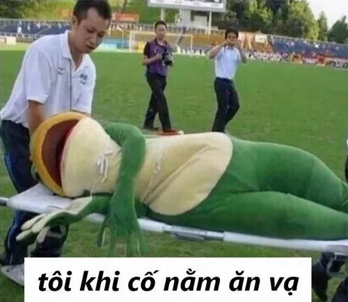 meme ăn