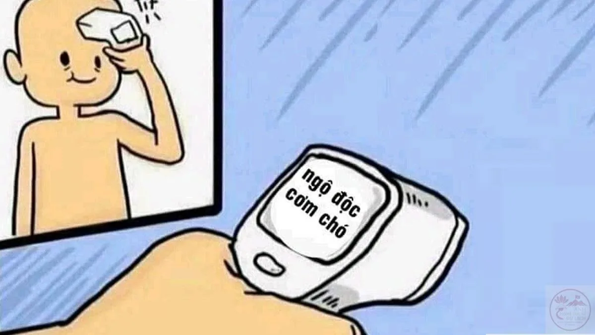 meme ăn
