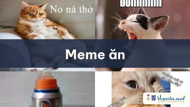 meme ăn