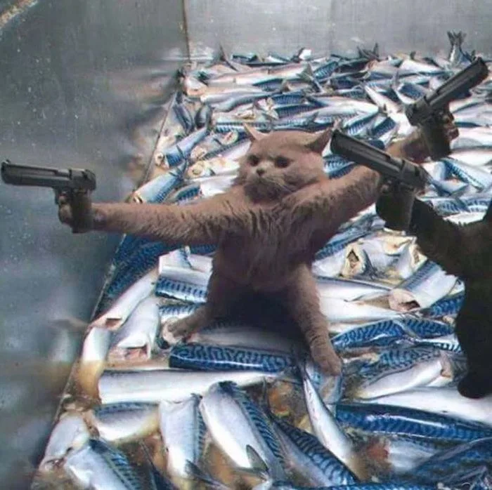 meme bắn súng