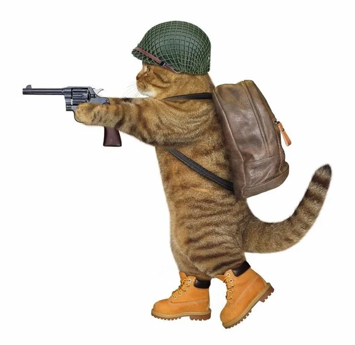 meme bắn súng