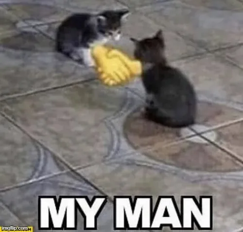 meme bắt tay tình nghĩa