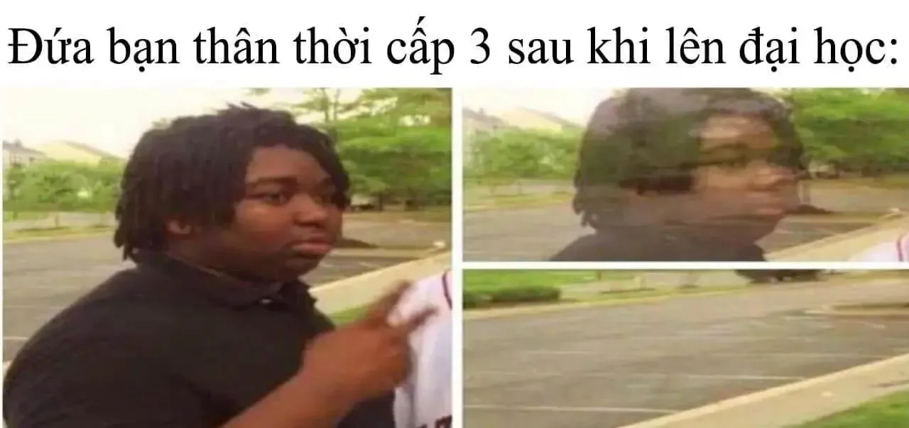 meme biến mất dần