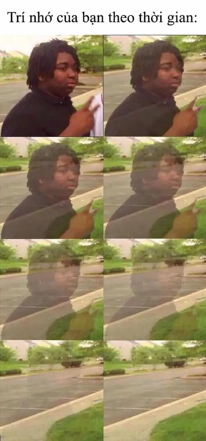 meme biến mất dần