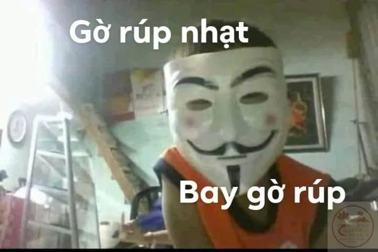 meme bay màu