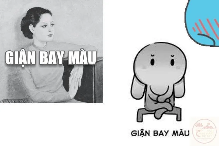meme bay màu