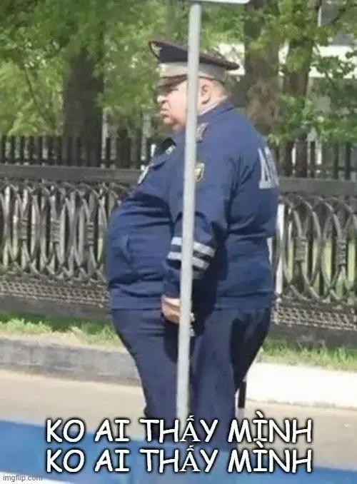 meme tàng hình