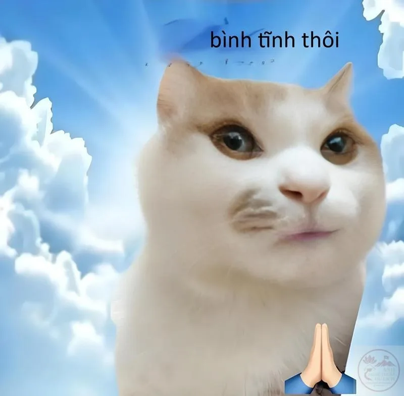 meme giữ bình tĩnh