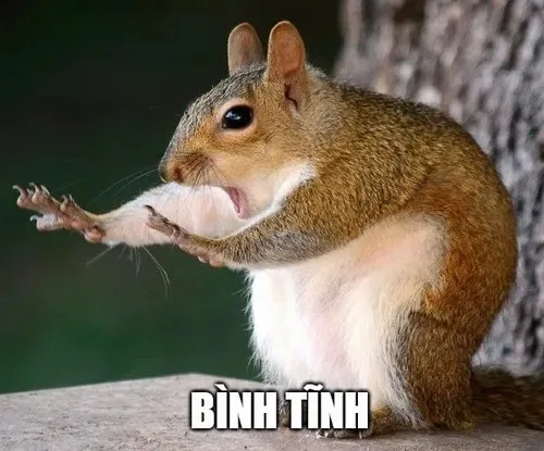 ảnh meme bình tĩnh