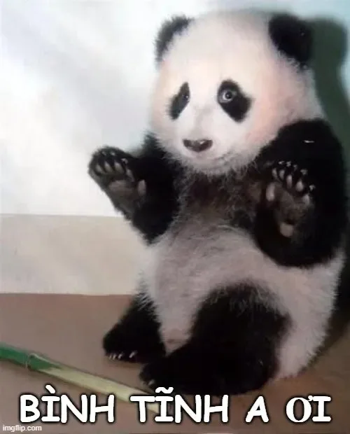 ảnh meme bình tĩnh