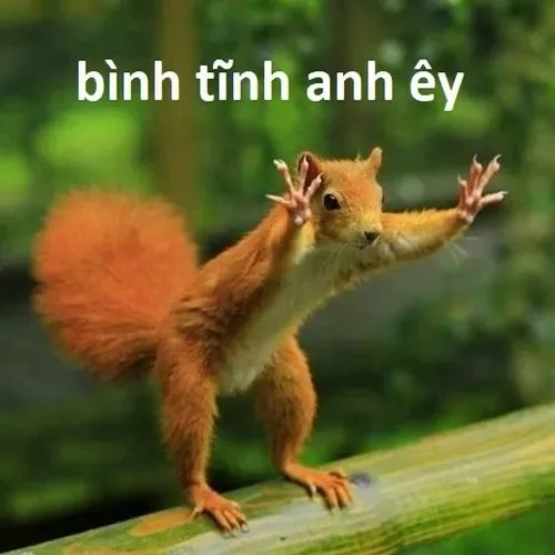 meme bình tĩnh