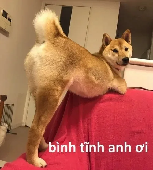 meme bình tĩnh