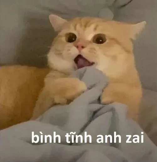 meme bình tĩnh