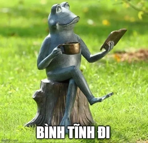 meme bình tĩnh