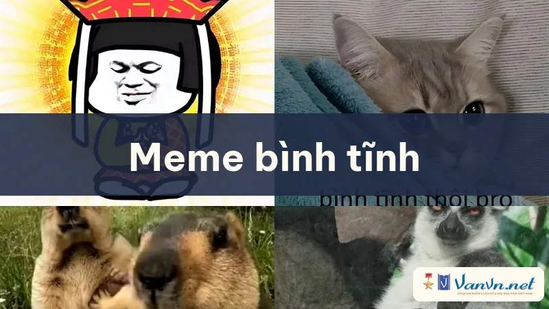 meme bình tĩnh
