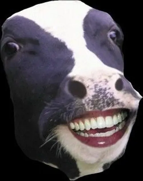 meme bò