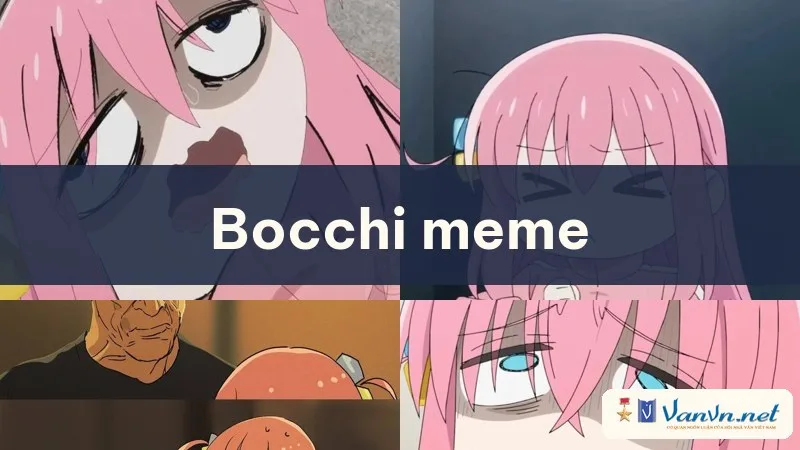 bocchi meme