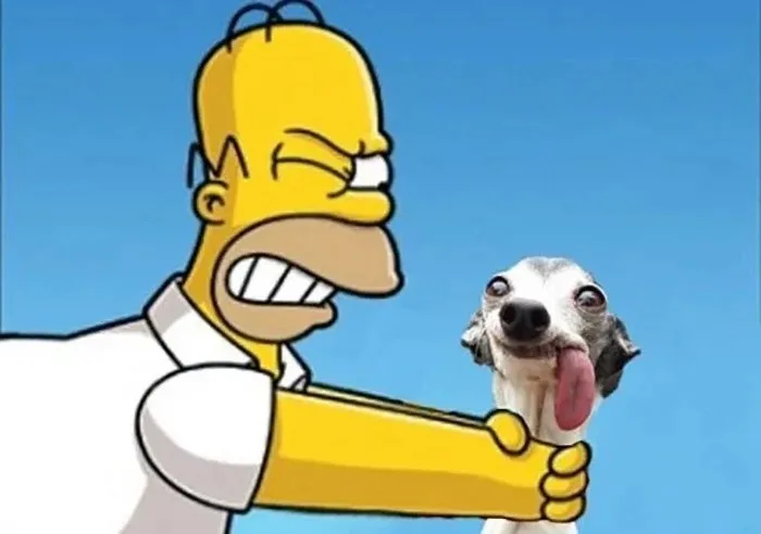 meme bóp cổ chó