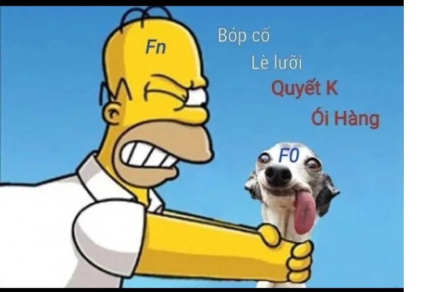 meme bóp cổ chó